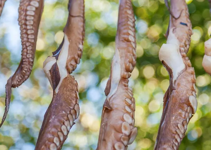 Luxury Paros 1 Bedroom Vrachian Earth Private Jacuzzi ヴィラ