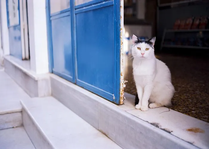 Luxury Paros 1 Bedroom Vrachian Earth Private Jacuzzi