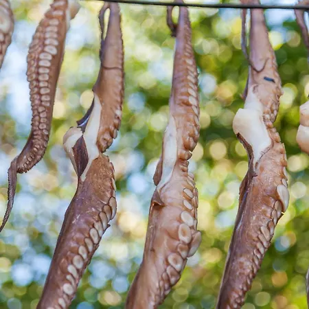 Luxury Paros 1 Bedroom Vrachian Earth Private Jacuzzi Villa