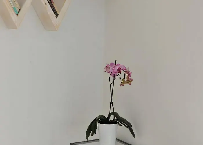 Luxury Paros 1 Bedroom Vrachian Earth Private Jacuzzi Villa Protorgia